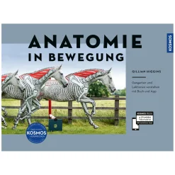 Anatomie in Bewegung - Gangarten und Lektionen verstehen