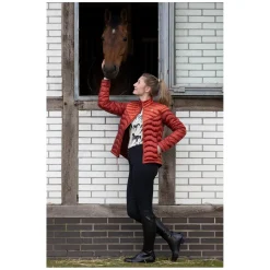 ARIAT Daunenjacke Ideal Down