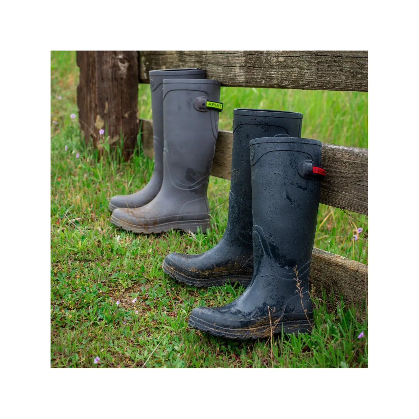 ARIAT Gummistiefel Kelmarsh