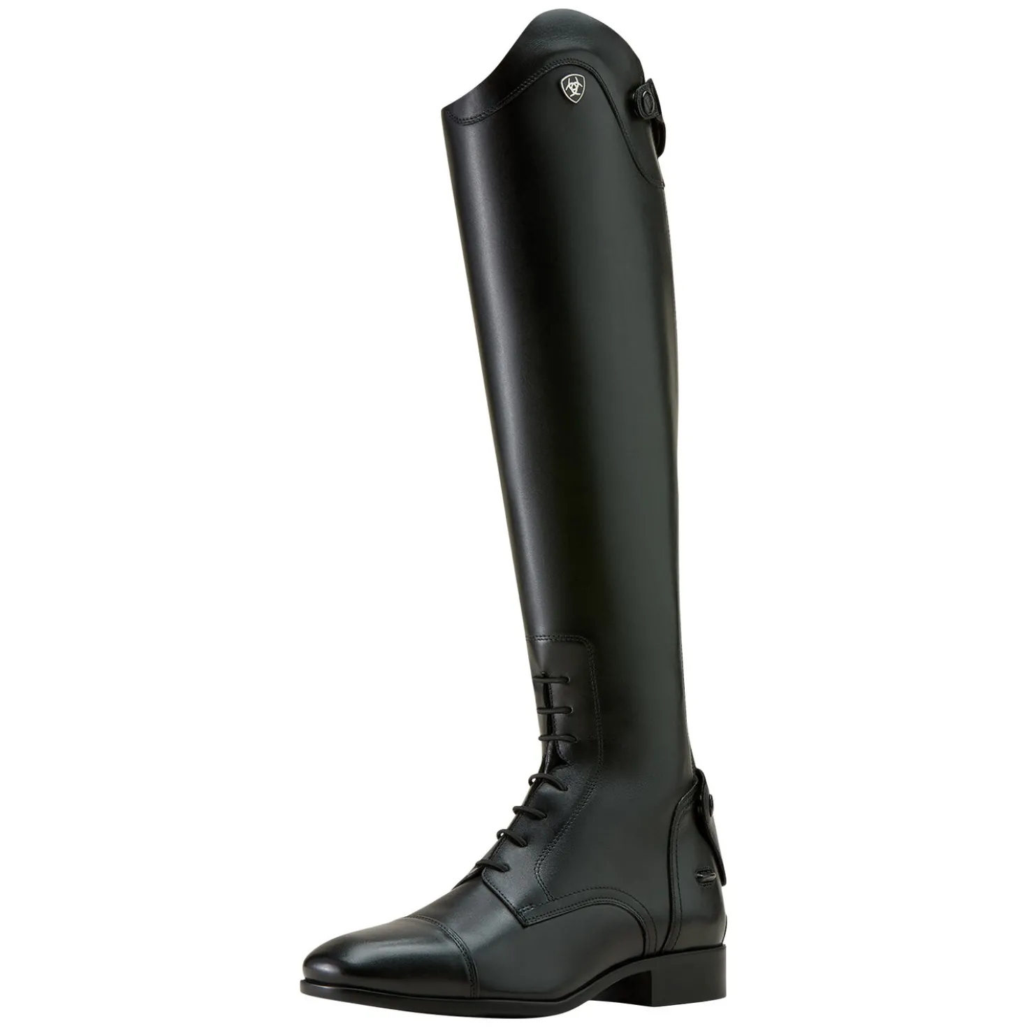 ARIAT Reitstiefel MNS Palisade Field