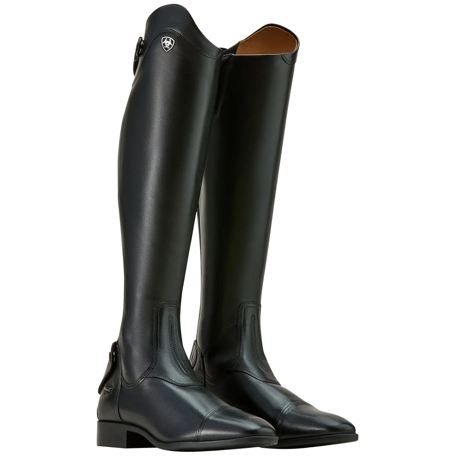 ARIAT Reitstiefel Palisade Dress