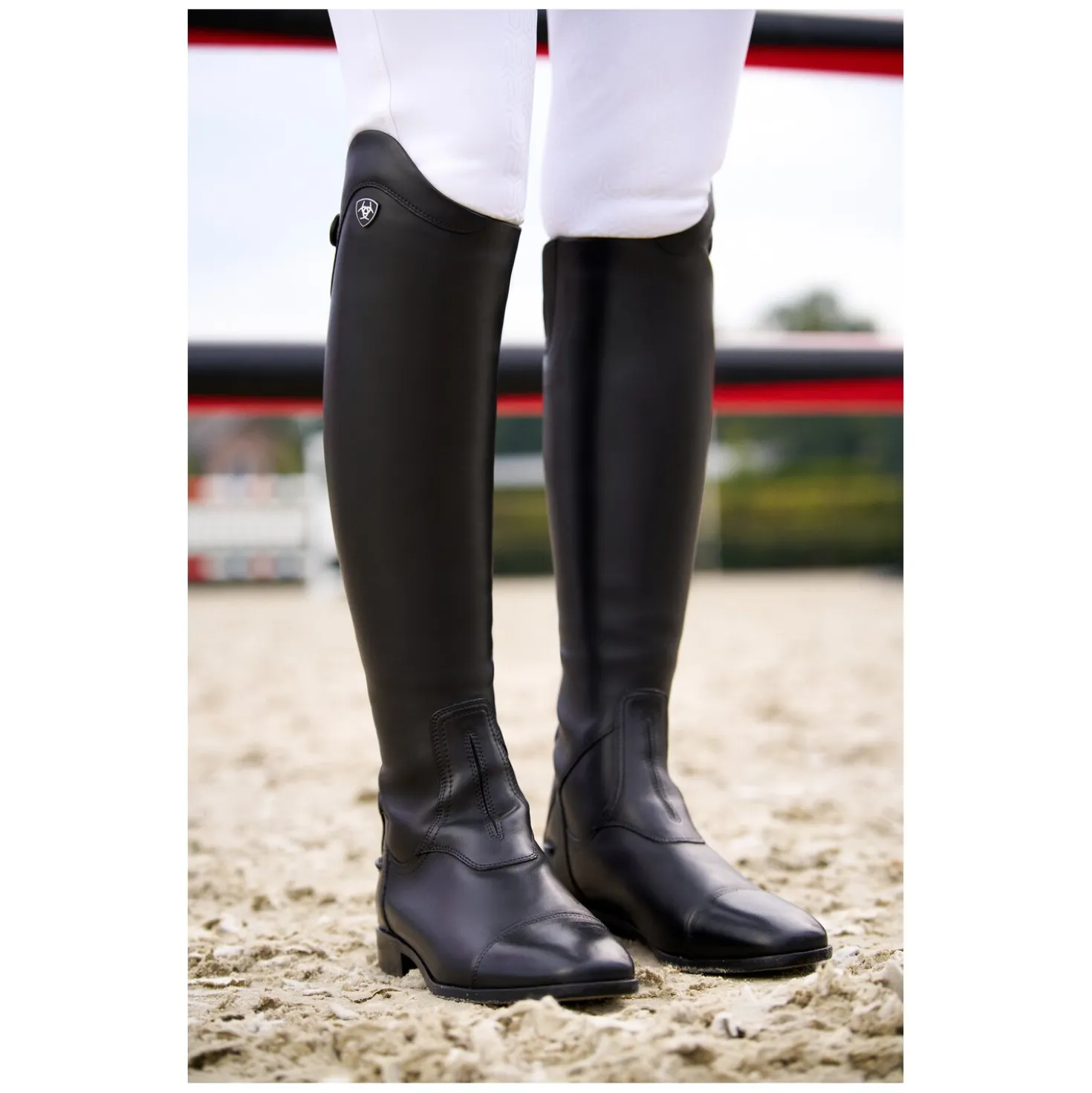 ARIAT Reitstiefel Palisade Dress