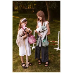 ASTRUP Hobby Horse Putztasche