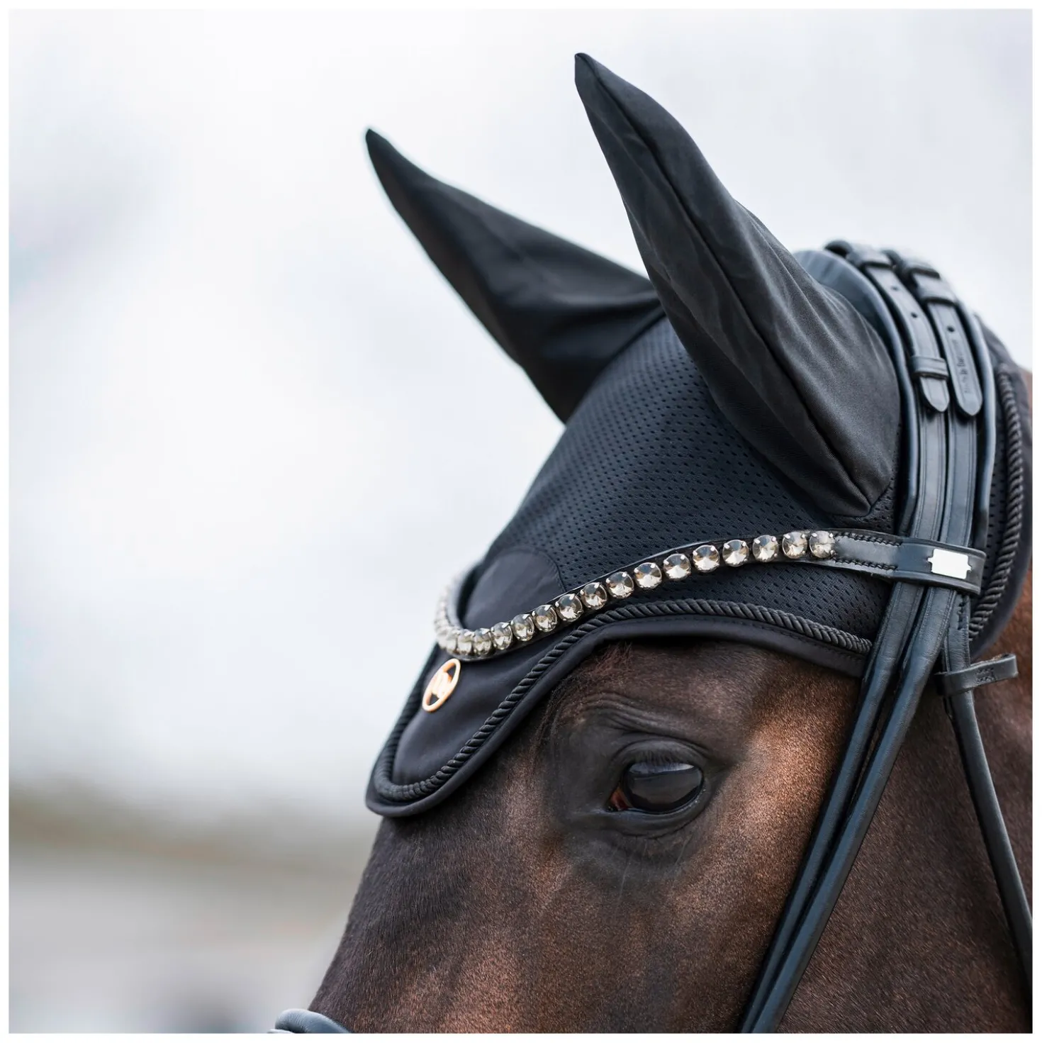 Back on Track Fliegenhaube Deep Nights