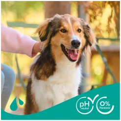 beaphar Hundeshampoo Fell-Glanz