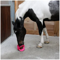 Bizzy HORSE Ball, für Pferde