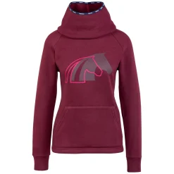 black forest Hoodie Valencia