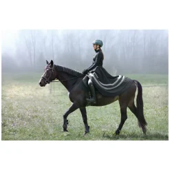 black forest Thermo-Reitrock