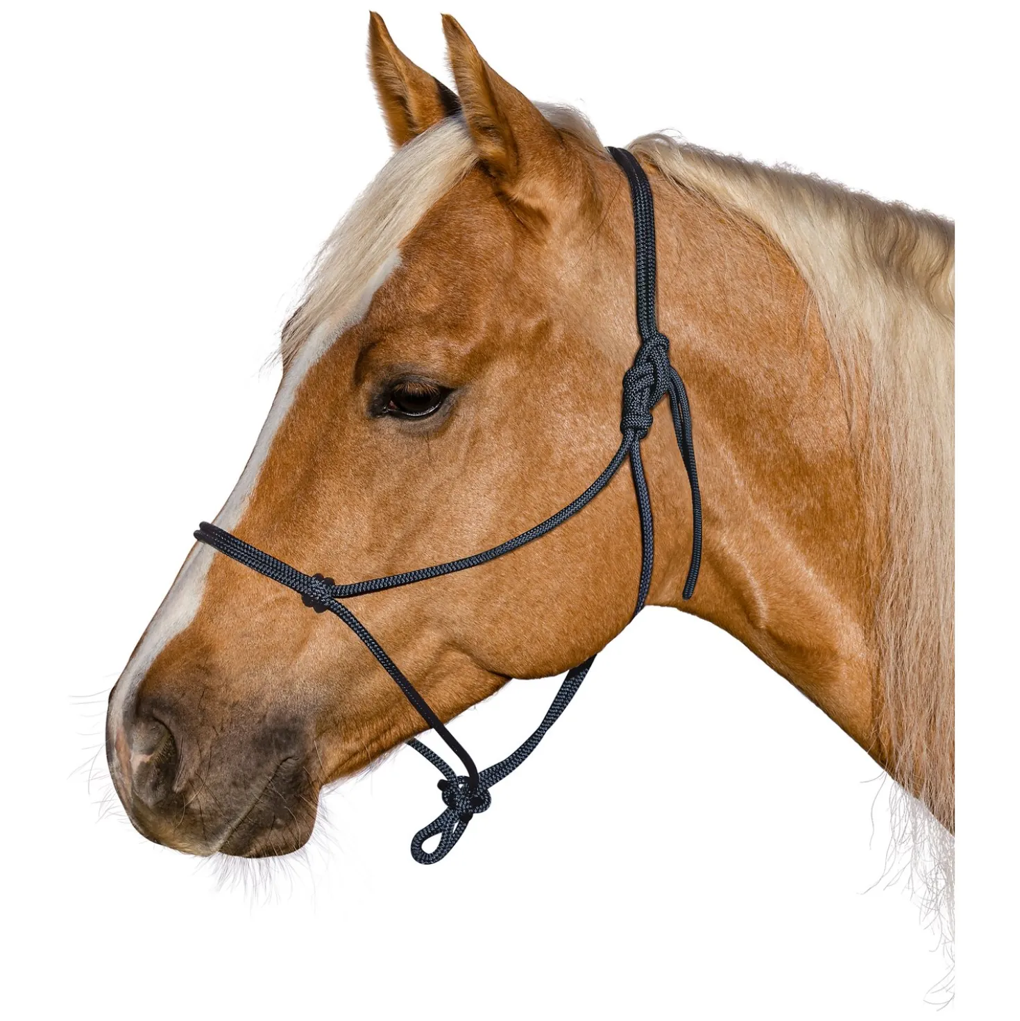 BROCKAMP Knotenhalfter Horse-Man-Halfter