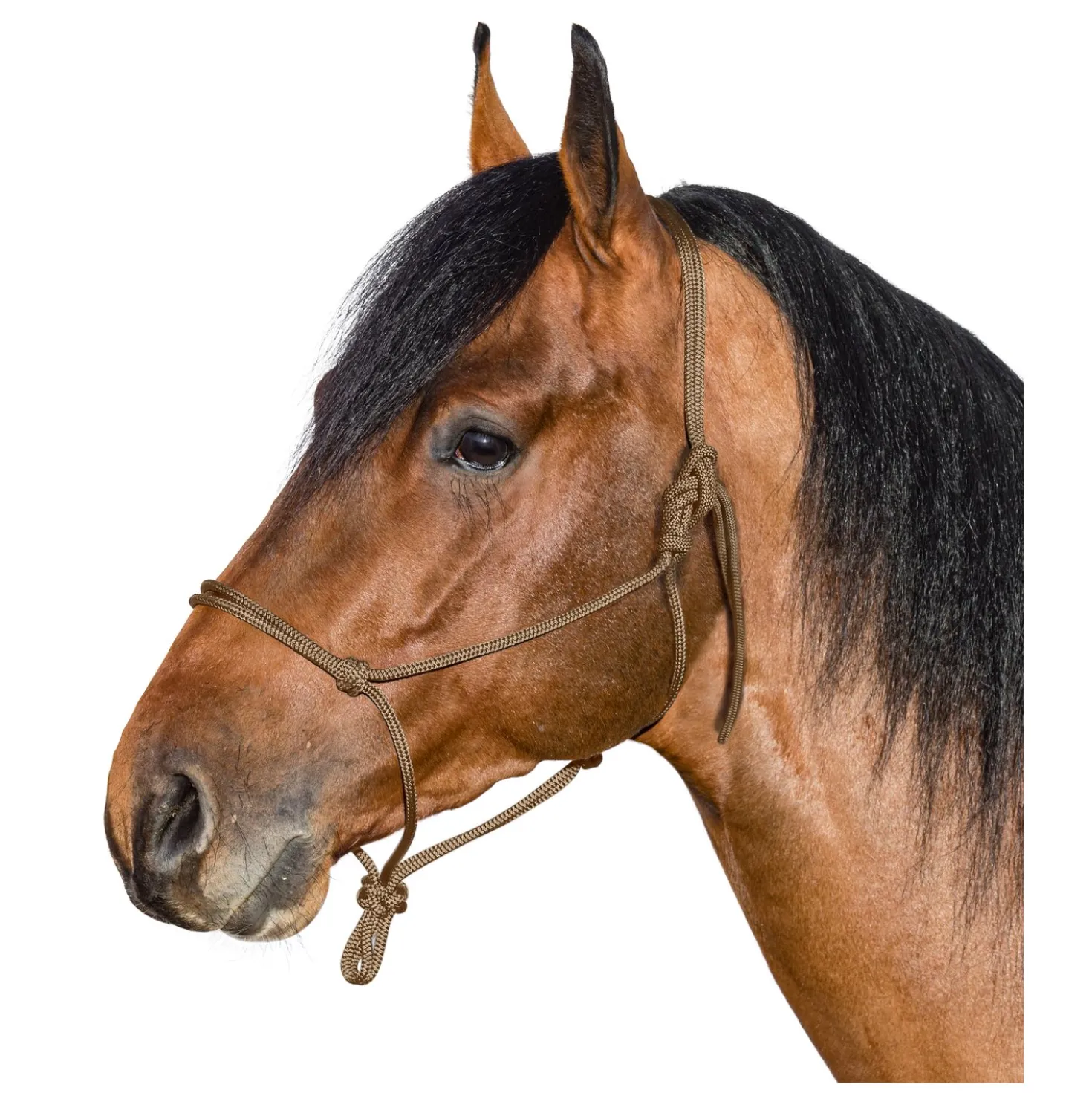 BROCKAMP Knotenhalfter Horse-Man-Halfter