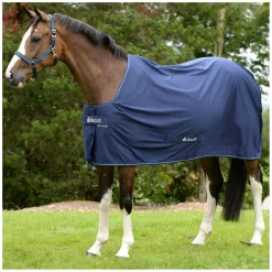 bucas Abschwitzdecke Power Cooler