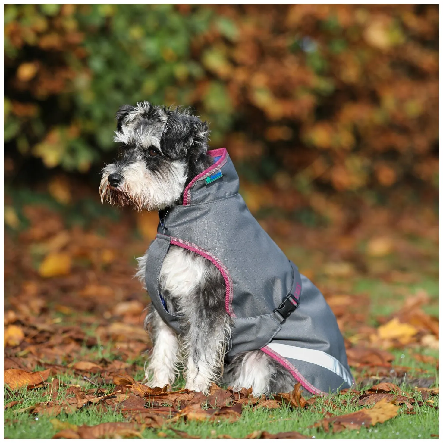 bucas Hundemantel Dog Rug Freedom 300 g