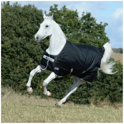 bucas Outdoordecke Anniversary Black Turnout Light