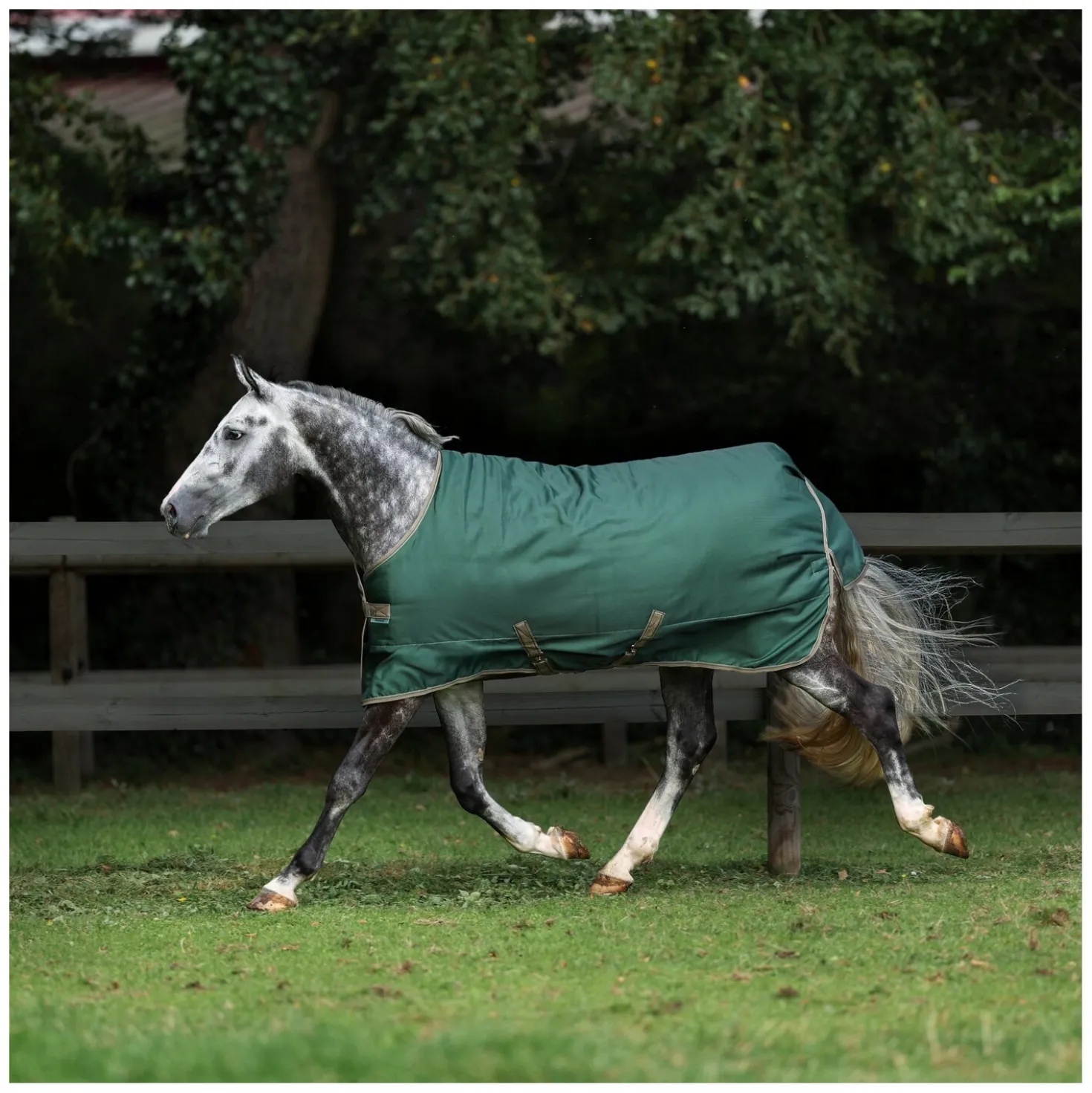 bucas Outdoordecke Freedom Turnout