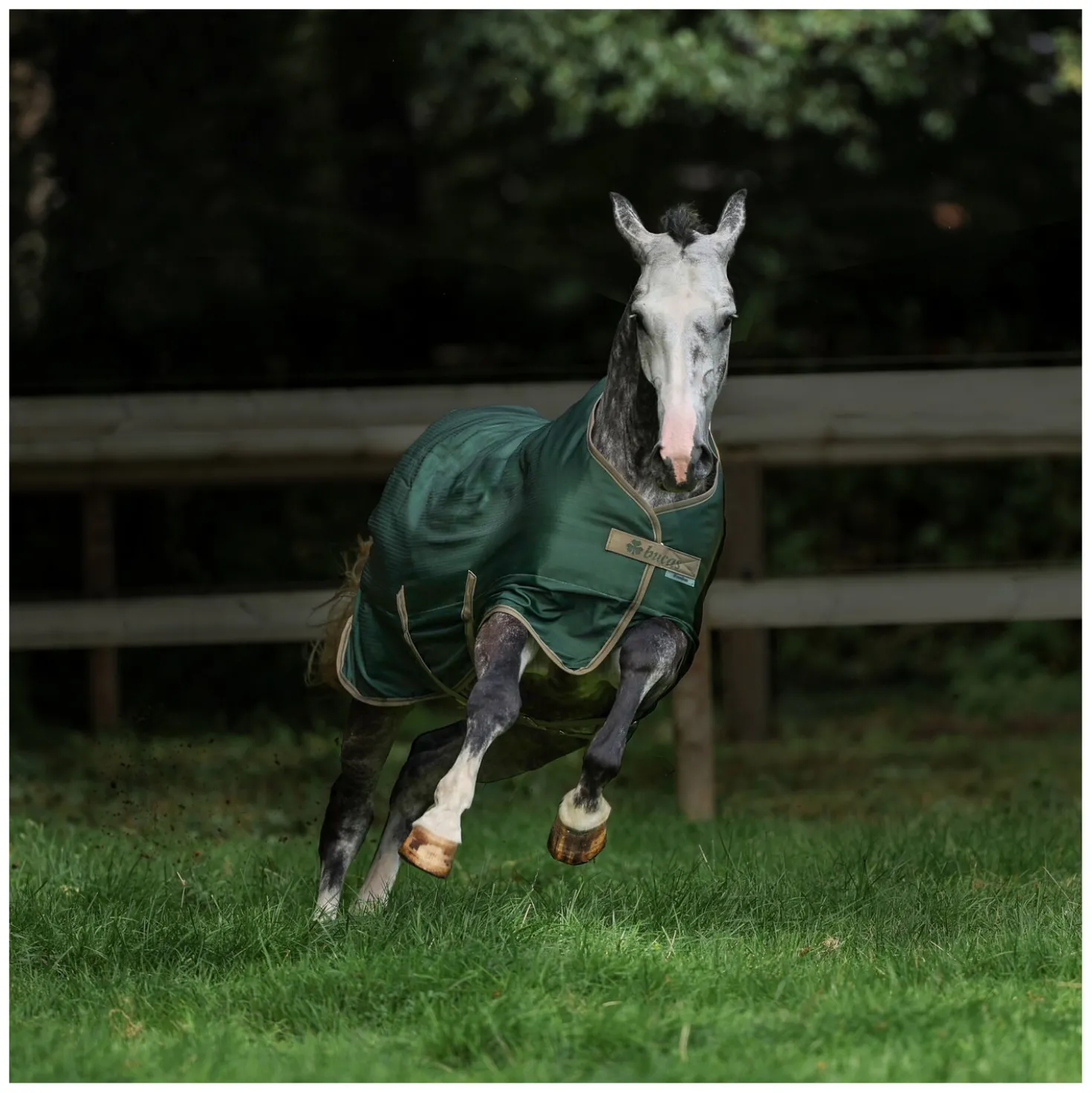 bucas Outdoordecke Freedom Turnout