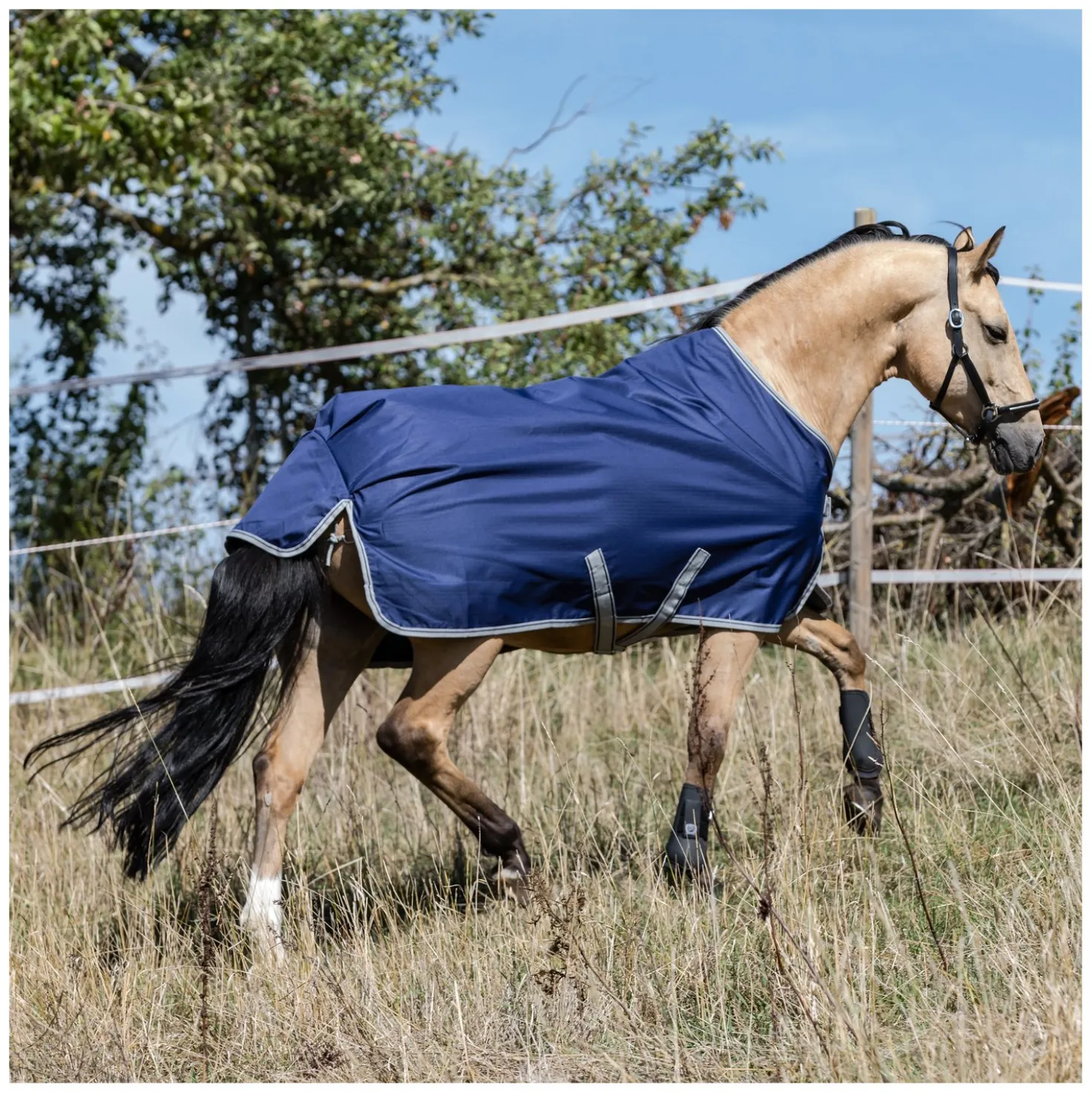 bucas Outdoordecke Freedom Turnout Light Pony