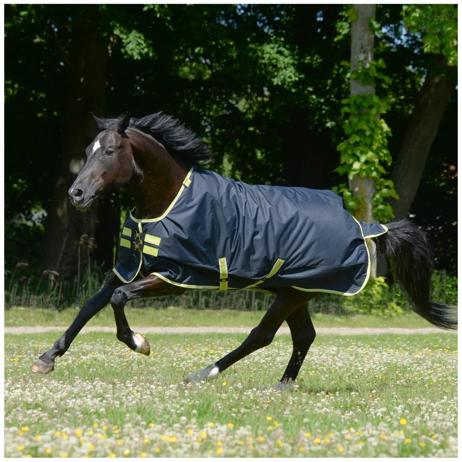 bucas Outdoordecke Oasis Turnout