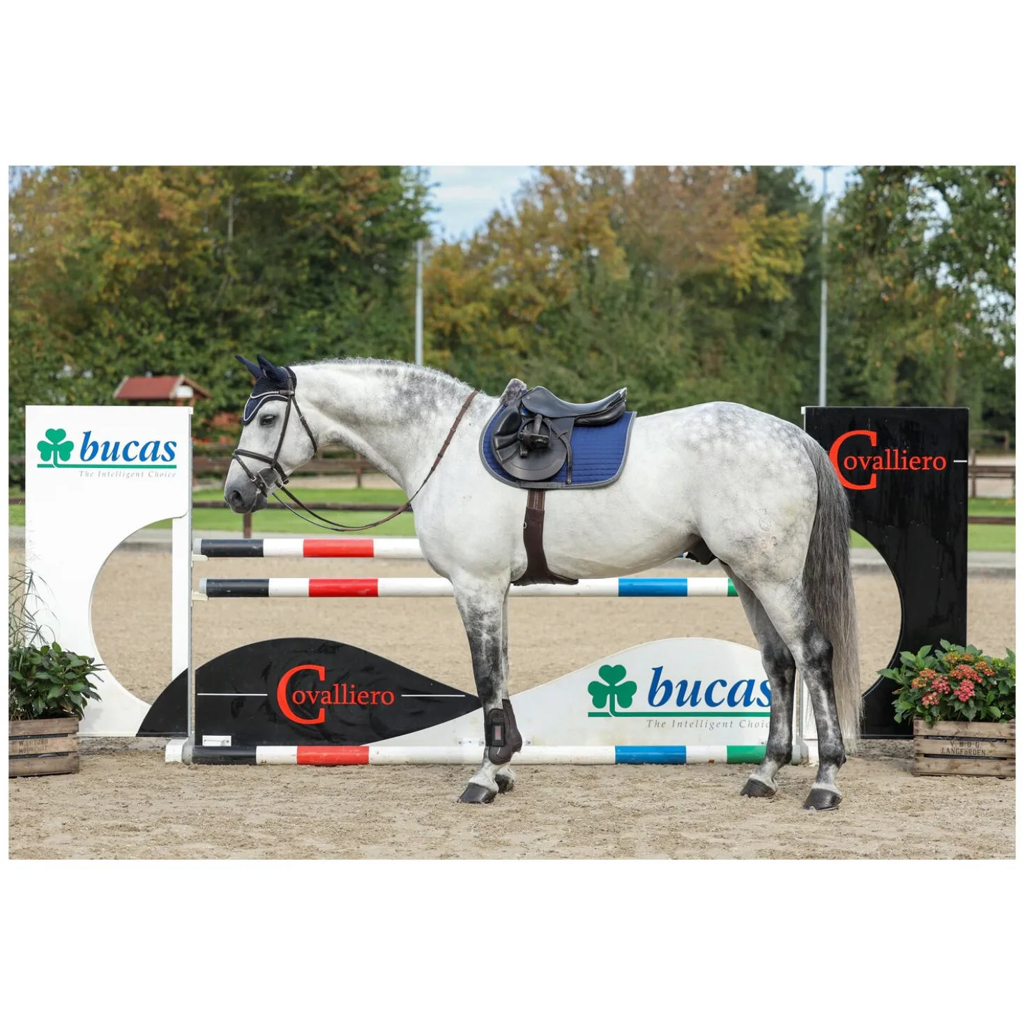 bucas Show-Line Collection Schabracke
