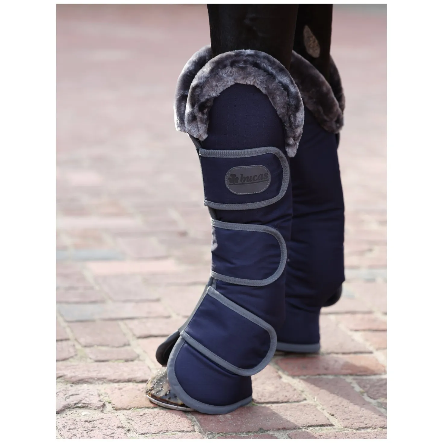 bucas Show-Line Collection Transportgamaschen