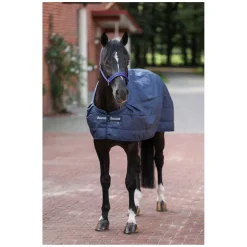 bucas Unterdecke Liner