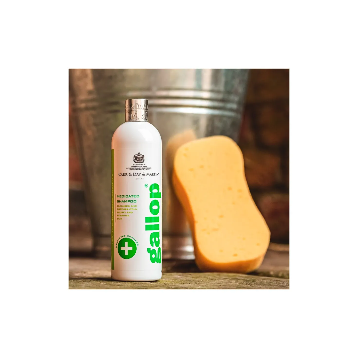 CARR & DAY & MARTIN Medizinisches Shampoo Gallop