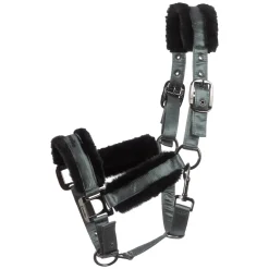 Cavallo Halfter CAVALJERO