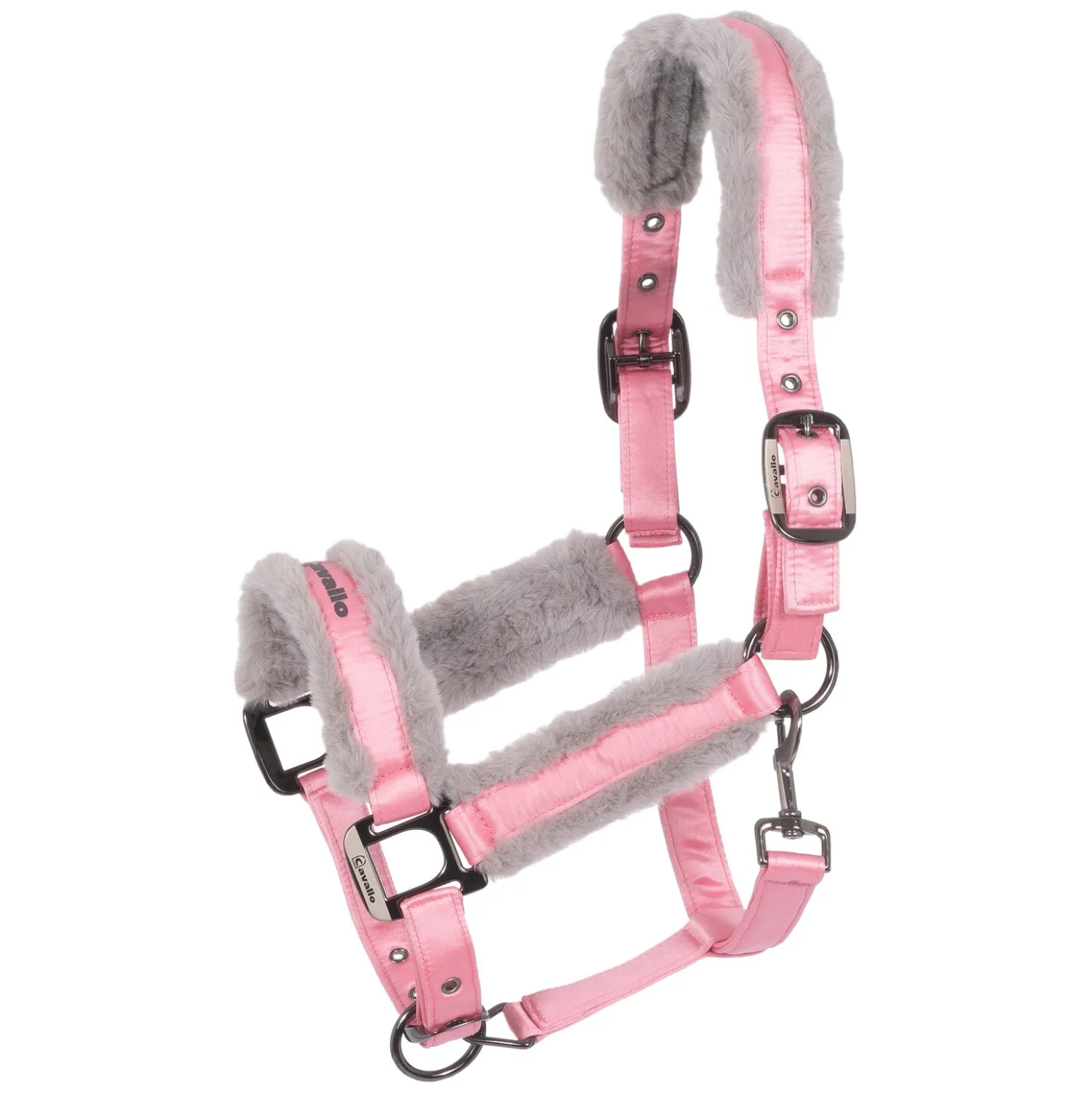 Cavallo Halfter CAVALJERO