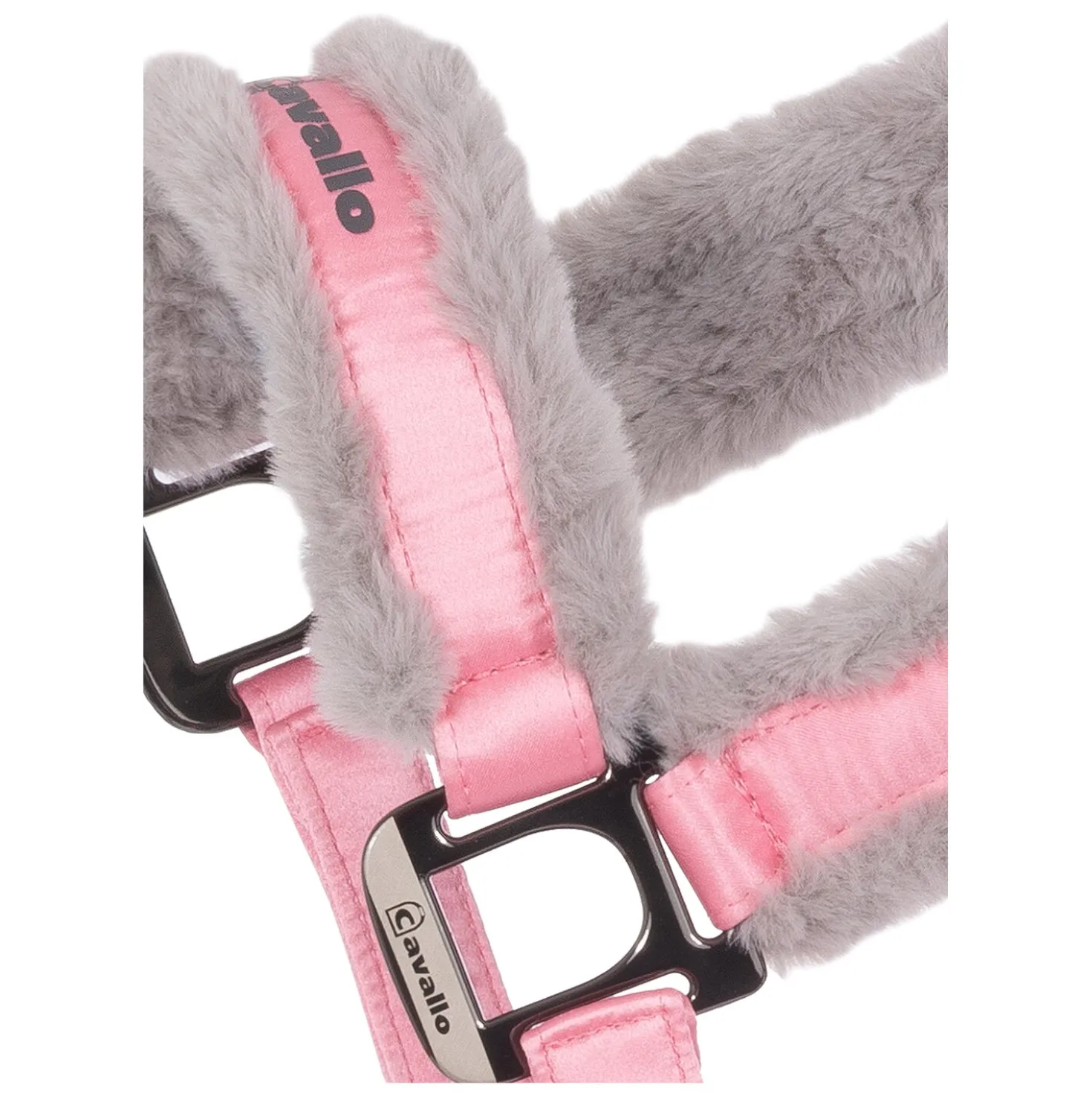 Cavallo Halfter CAVALJERO