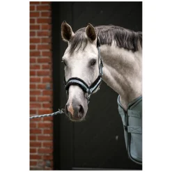 Cavallo Halfter CAVALJERO