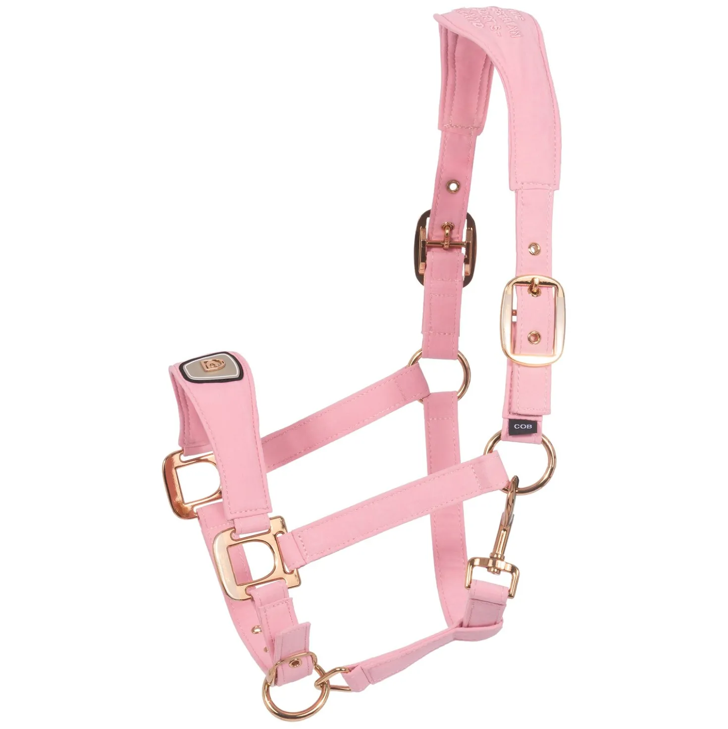 Cavallo Halfter CAVALPAWEL