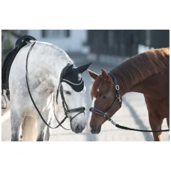 Cheval de Luxe Fliegenohren Avignon