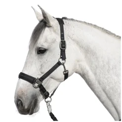 Cheval de Luxe Halfter Lyon