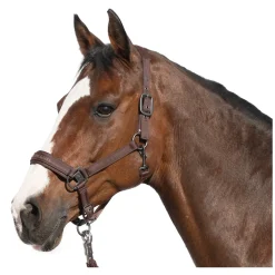 Cheval de Luxe Halfter Lyon