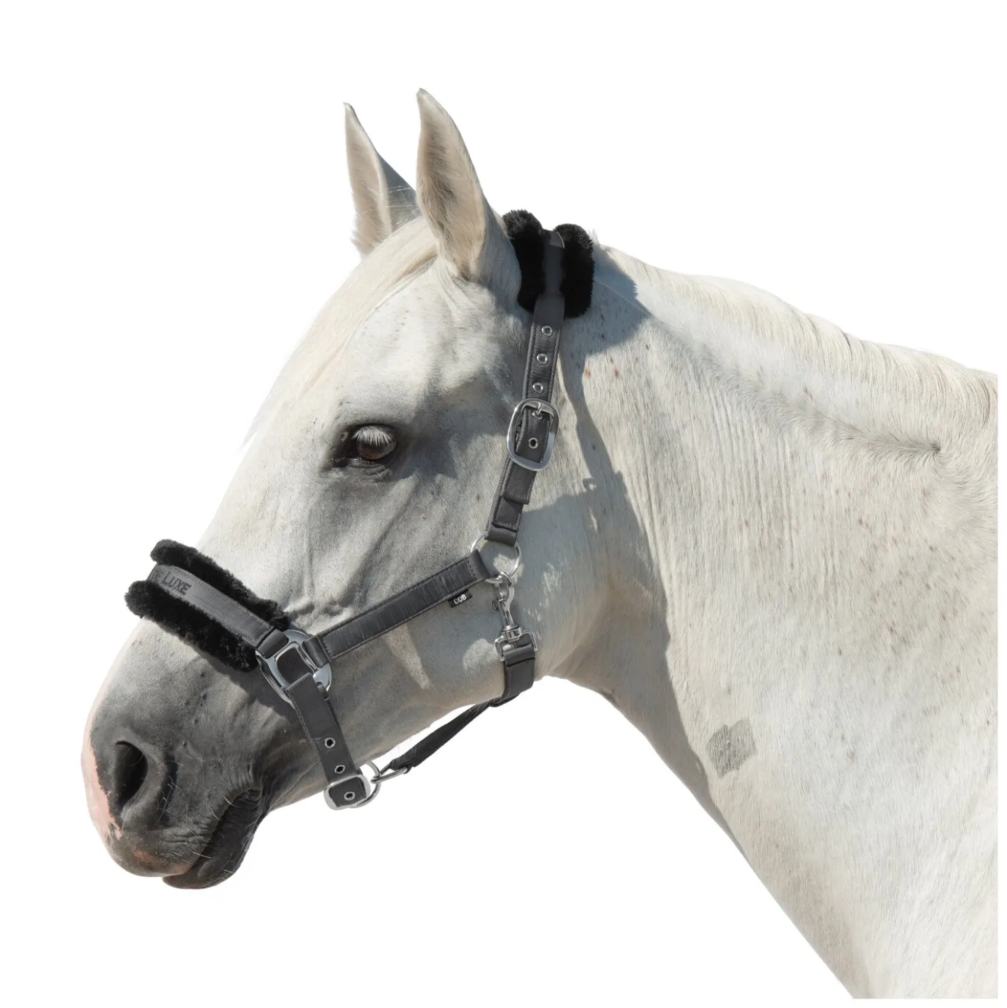 Cheval de Luxe Halfter Manila