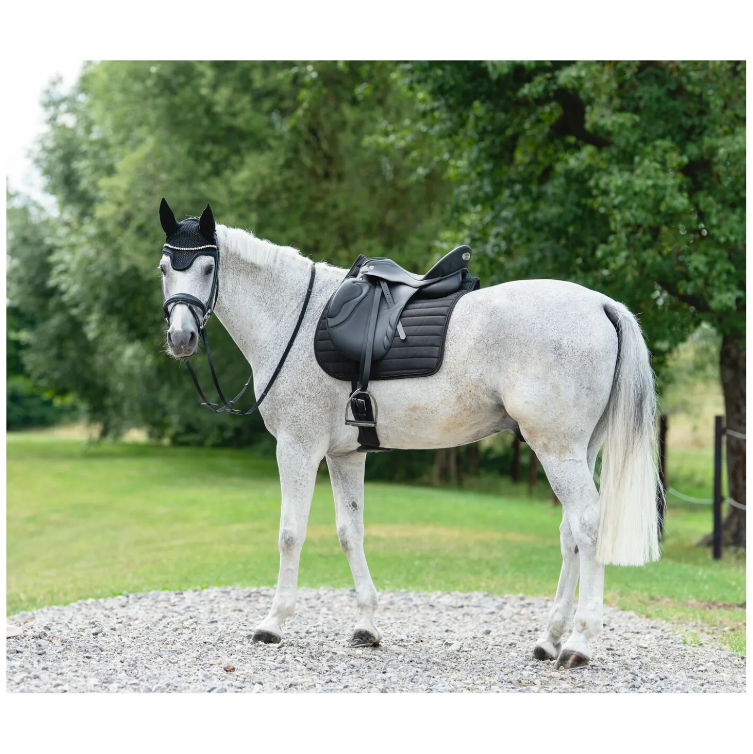 Cheval de Luxe Schabracke Basic Glitter