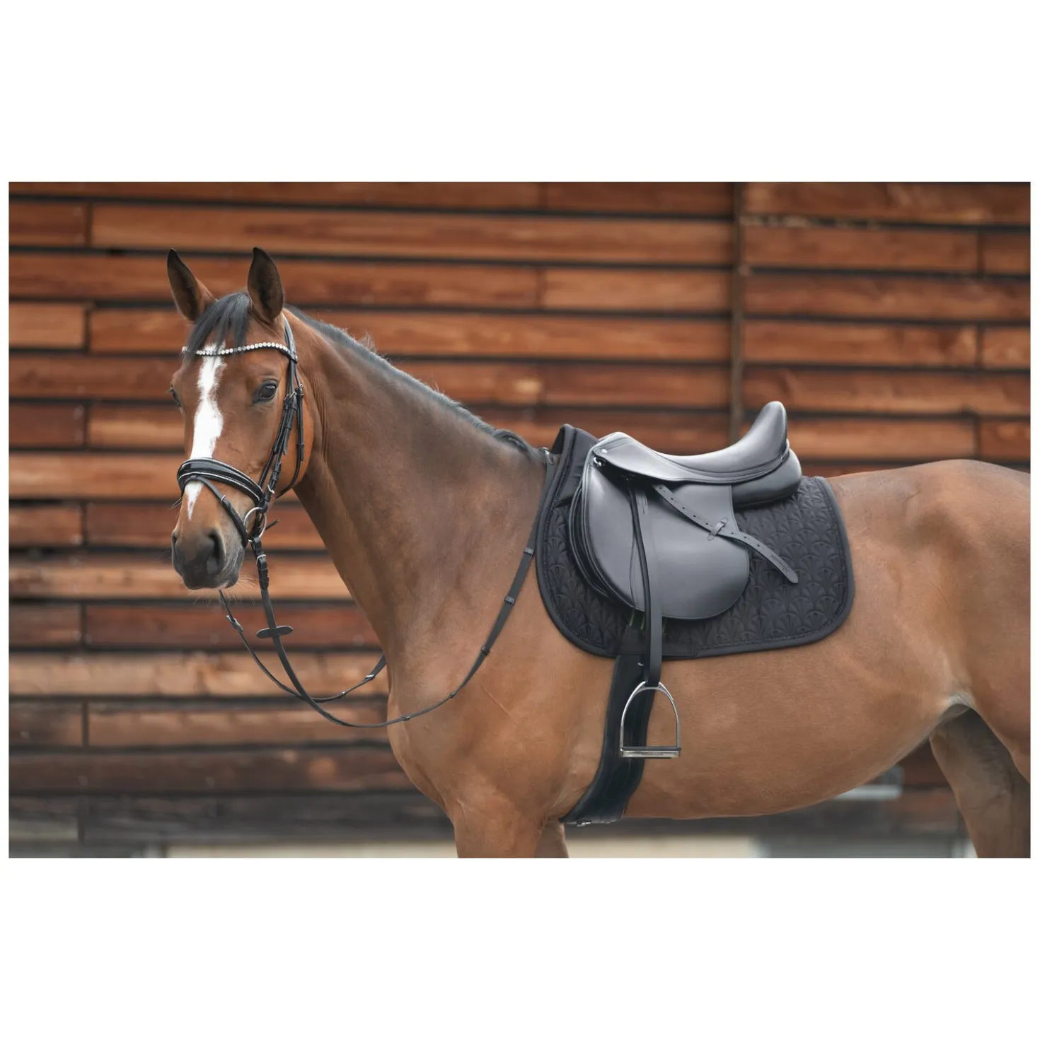 Cheval de Luxe Schabracke Lille