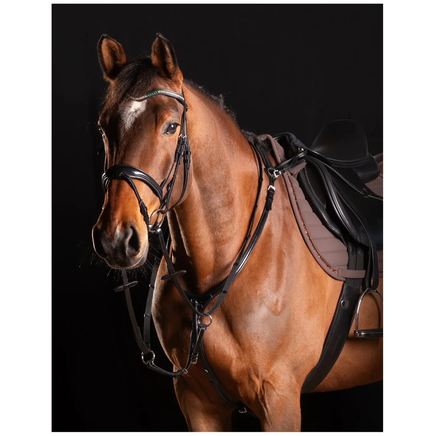 Cheval de Luxe Trensenzaum Dijon