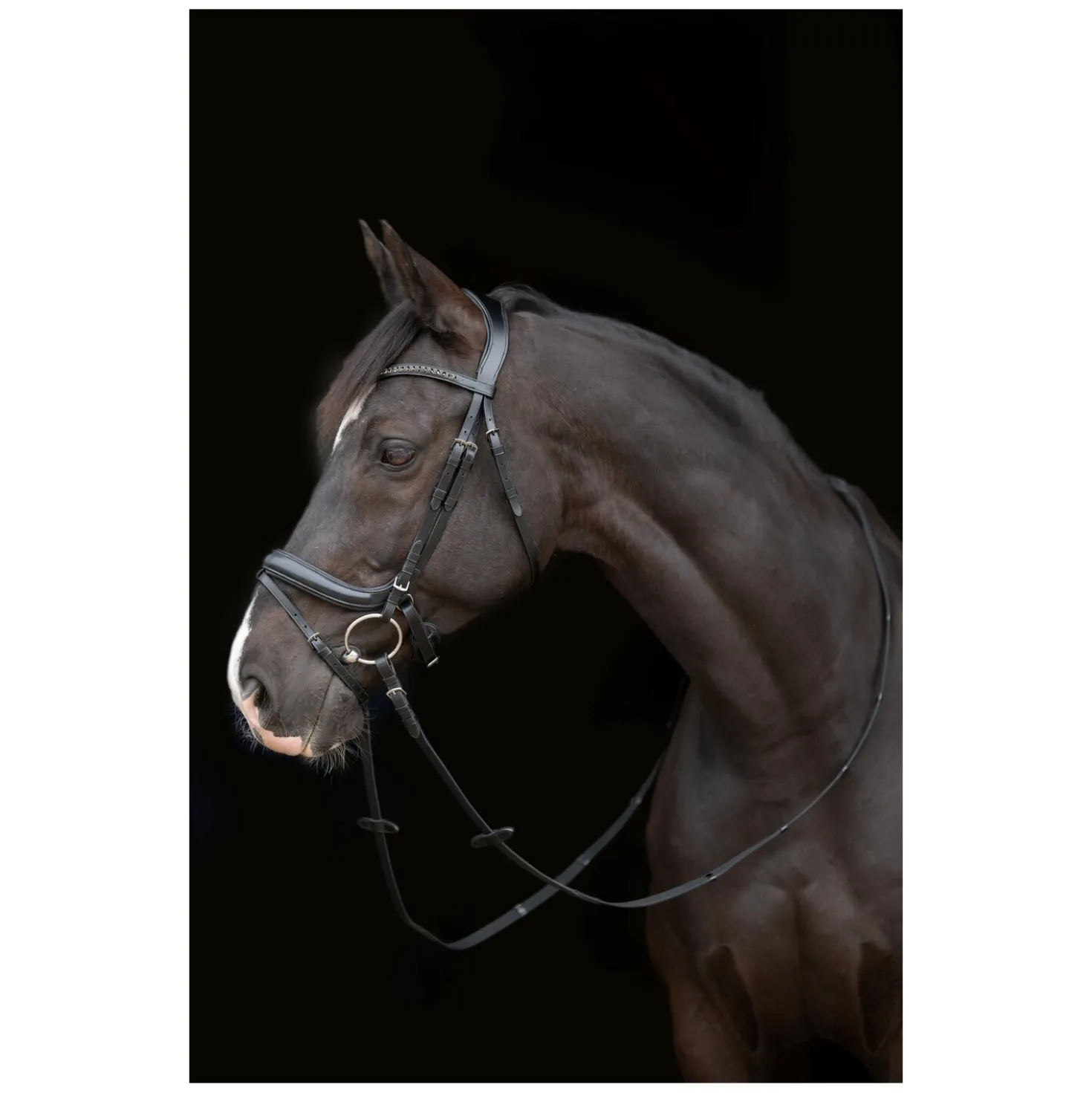 Cheval de Luxe Trensenzaum Genova
