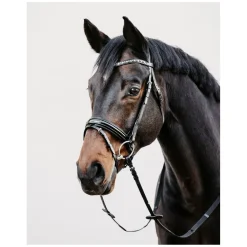 DÖBERT Trensenzaum Mainz