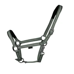 EQUEST Halfter Dual Plus
