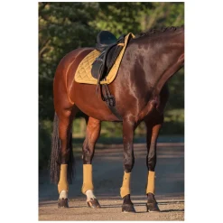 ESKADRON Heritage Gamaschen Pro Dressage, für Hinterbeine