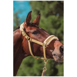 ESKADRON Heritage Halfter Faux Leather Jewel FF Double Pin
