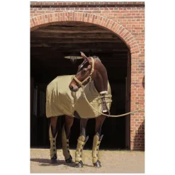 ESKADRON Heritage Halfter Girth Double Pin