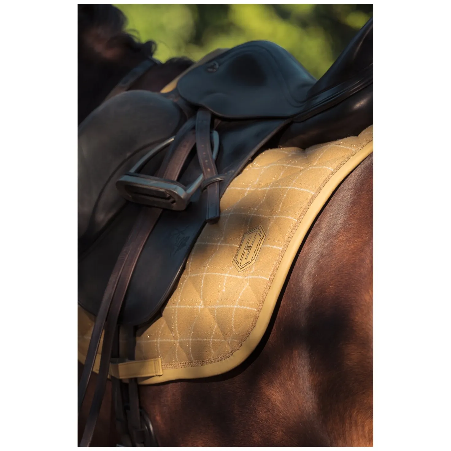 ESKADRON Heritage Schabracke Glossy