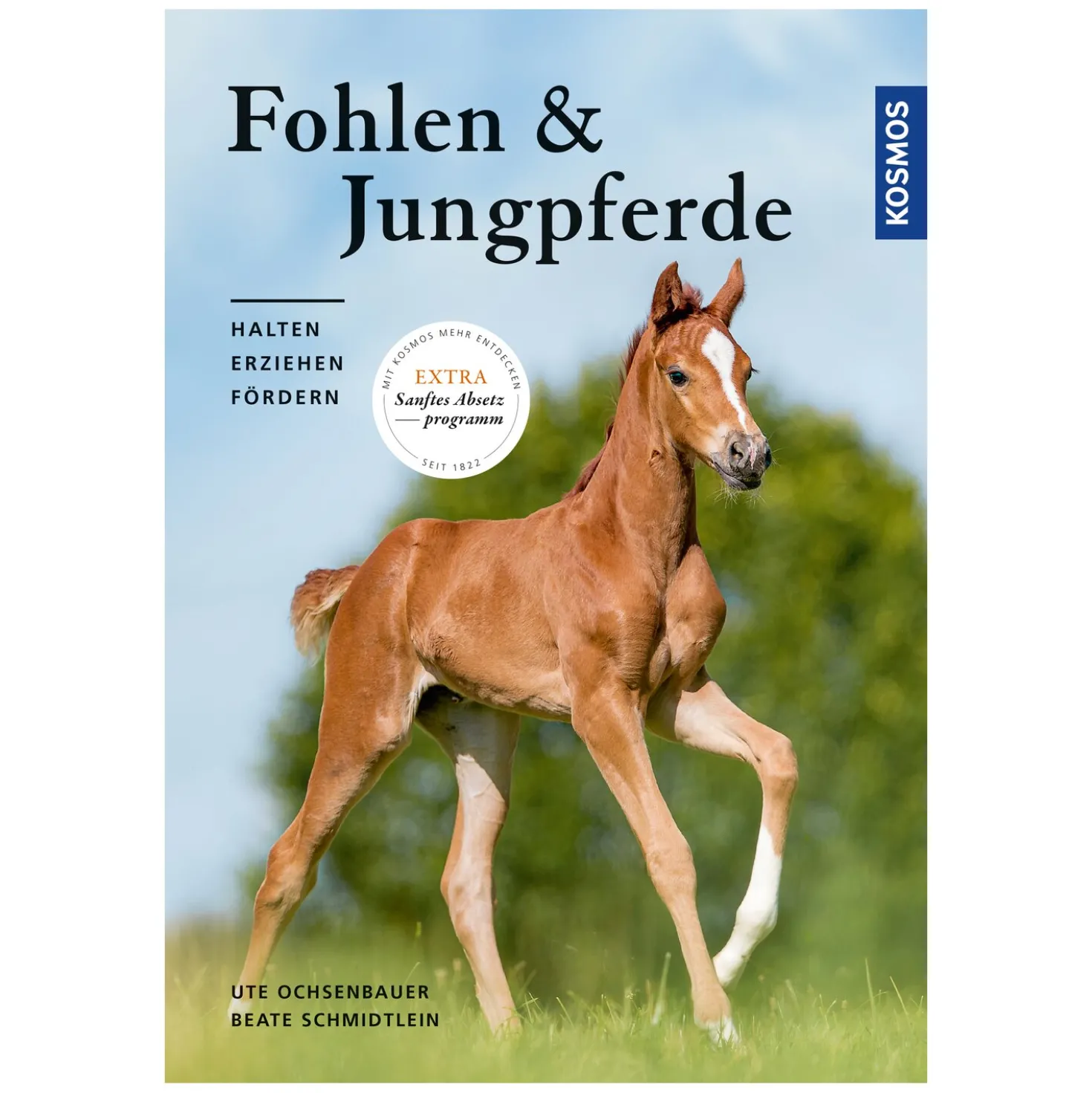 Fohlen und Jungpferde