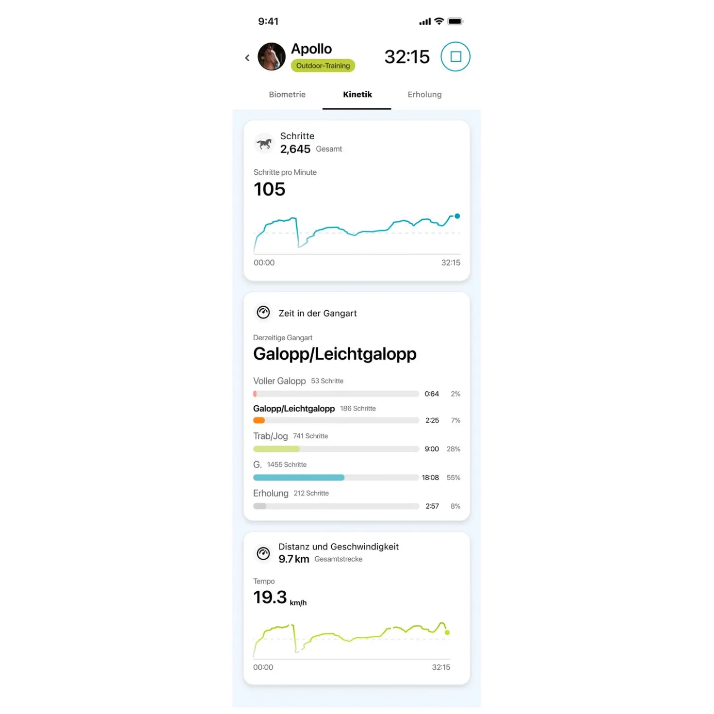 GARMIN Blaze Trainingssensor fürs Pferd