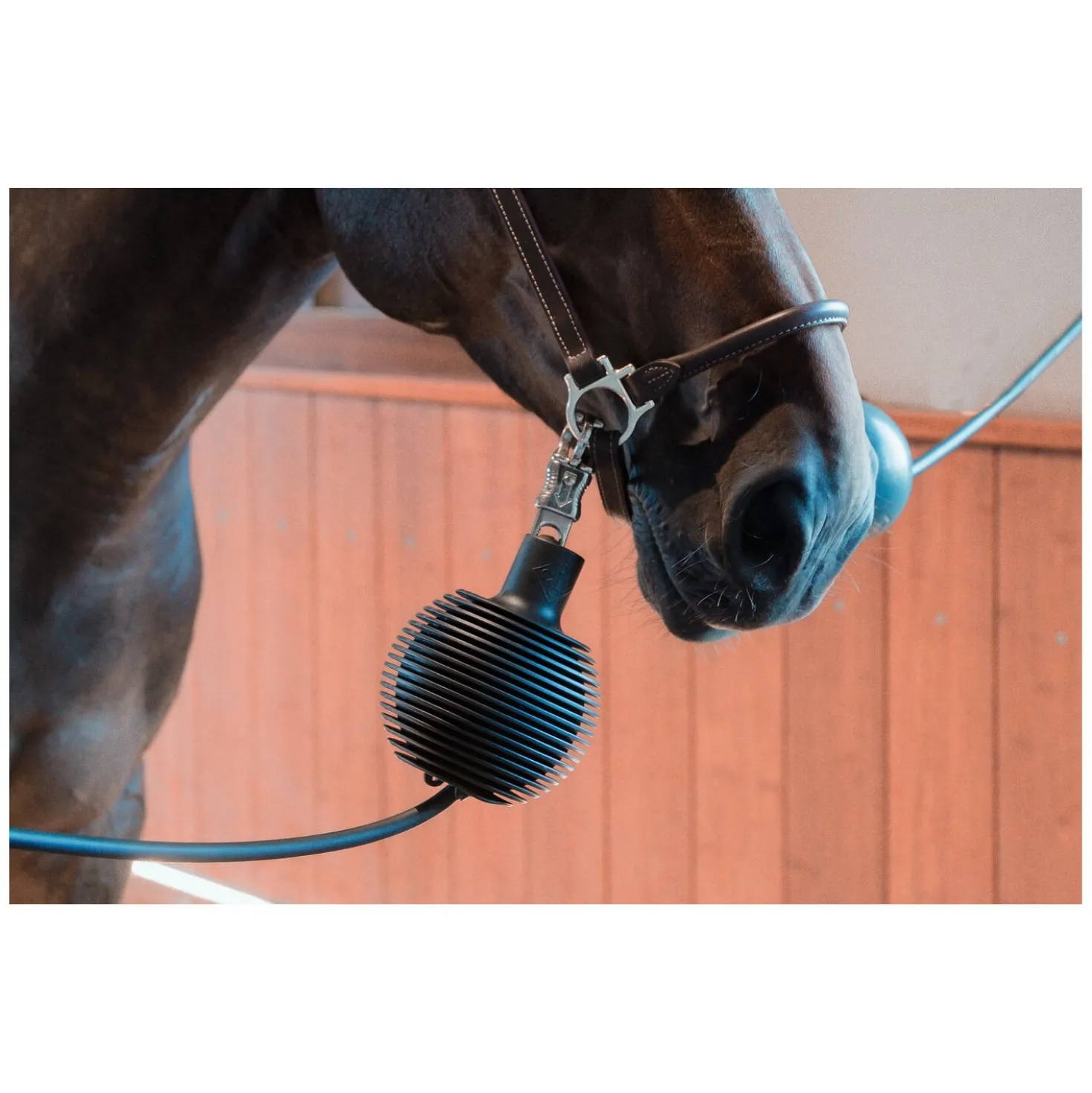GROOMING DELUXE Strick- und Wandschutz