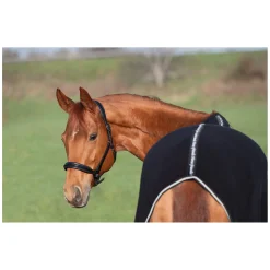 Horse-friends Abschwitzdecke Wakefield