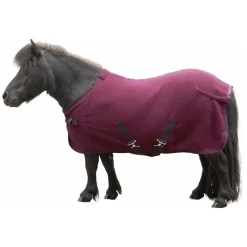 Horse-friends Abschwitzdecke