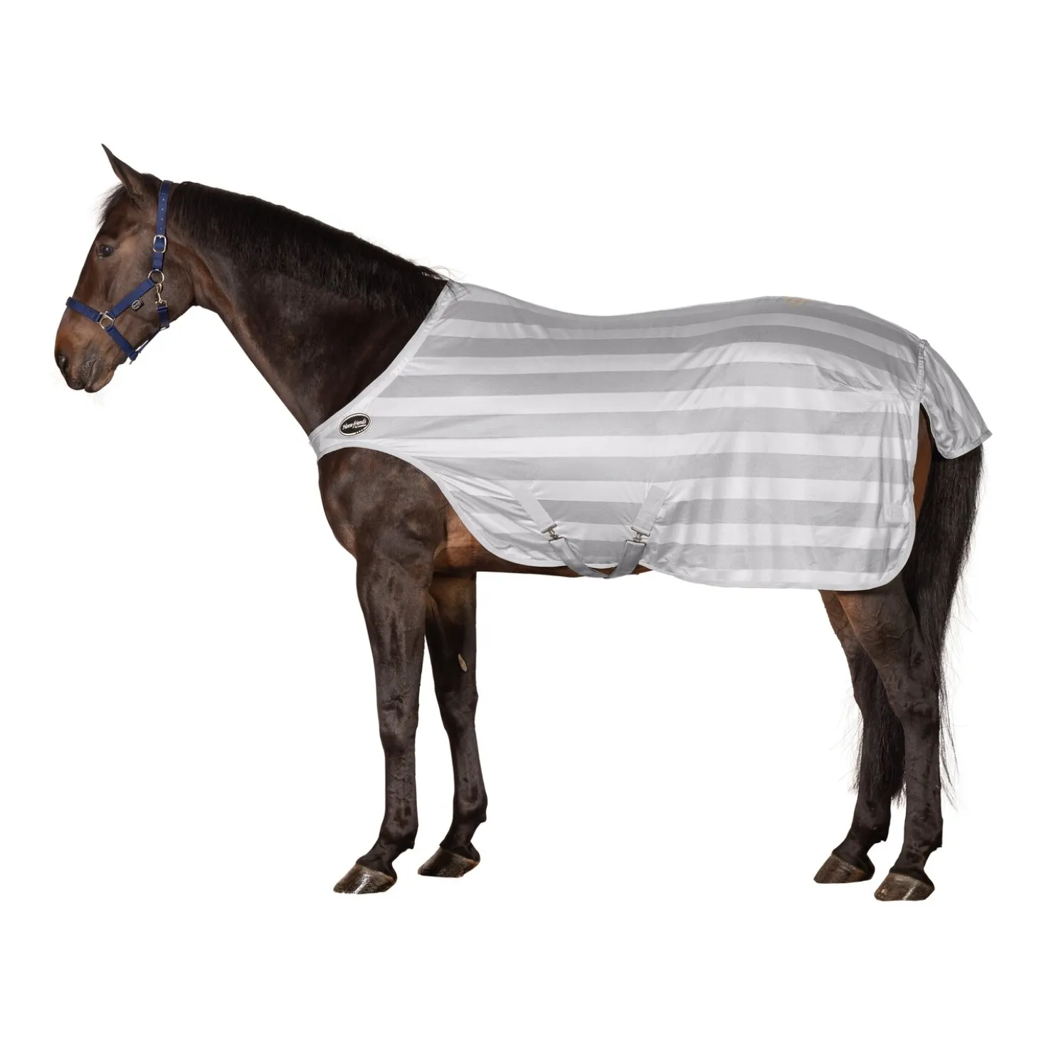 Horse-friends Fliegendecke Walker Basic